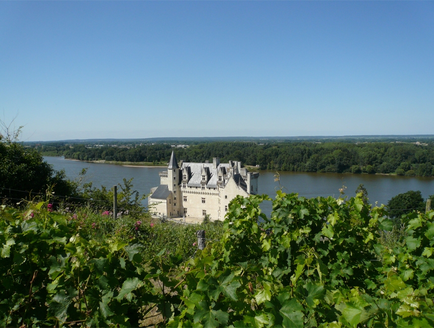 Château de Monsoreau vins de Loire