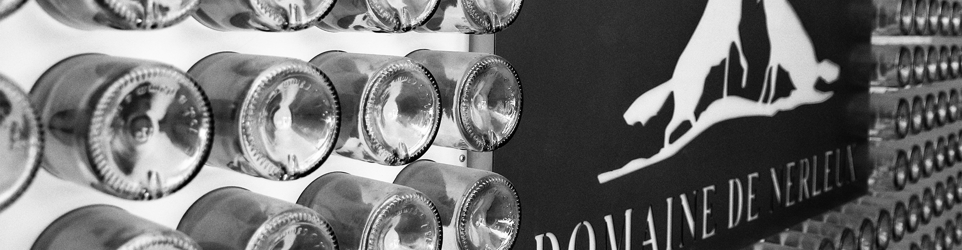 Oenotourisme val de loire