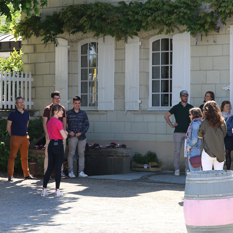 Visites domaine viticole à Saumur