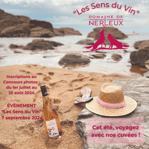 Animation été 2024