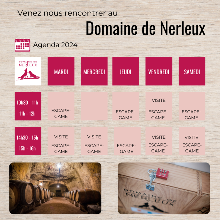 Programme visite escape 2024